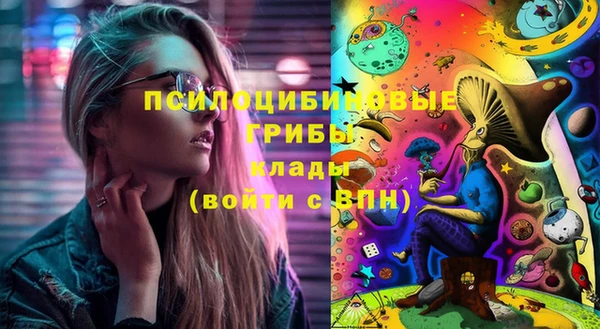 дурь Алзамай