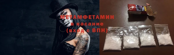 прущие грибы Саяногорск