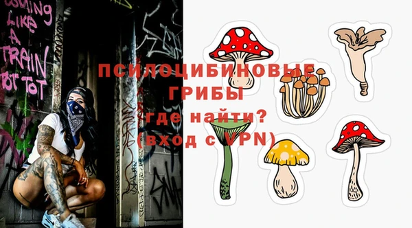 прущие грибы Саяногорск
