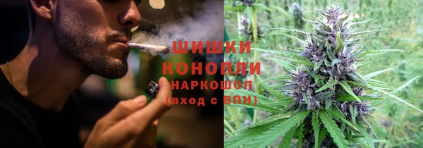 дурь Алзамай