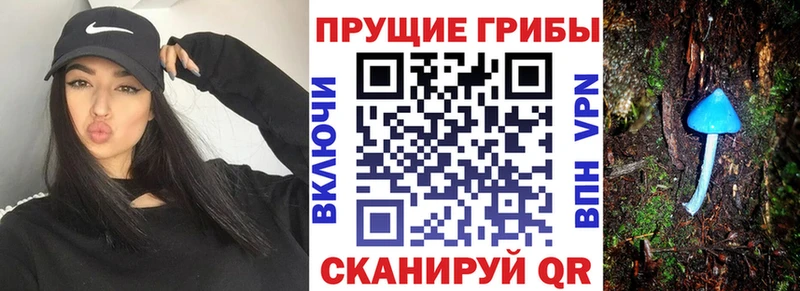 что такое   Аткарск  Псилоцибиновые грибы GOLDEN TEACHER 